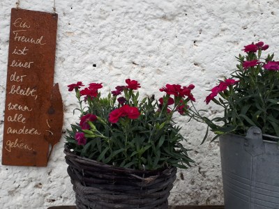 Alpine hut Holiday Cabin - Alpe Finne - Outdoor photo 9