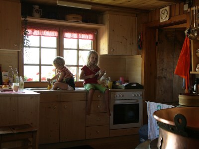 Alpine hut Holiday Cabin - Alpe Finne - Features photo 15