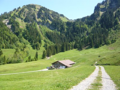 Alpine hut Holiday Cabin - Alpe Finne - Environment photo 25