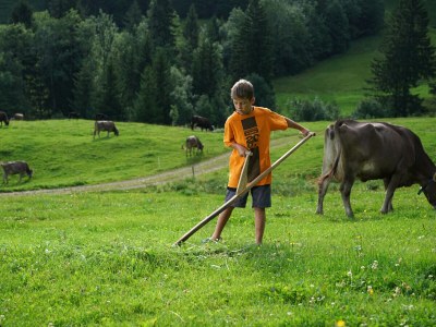 Alpine hut Holiday Cabin - Alpe Finne - Environment photo 26
