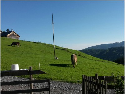 Alpine hut Holiday Cabin - Alpe Finne - Environment photo 27