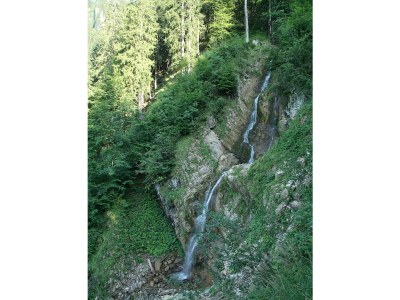 Alpine hut Holiday Cabin - Alpe Finne - Environment photo 28