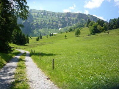 Alpine hut Holiday Cabin - Alpe Finne - Environment photo 29