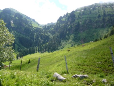 Alpine hut Holiday Cabin - Alpe Finne - Environment photo 33