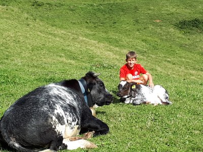Alpine hut Holiday Cabin - Alpe Finne - Environment photo 36