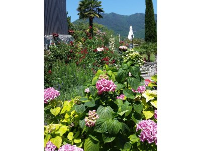 Holiday house Casa Rosina - Outdoor photo 15