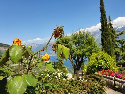 Holiday house Casa Rosina - Outdoor photo 16