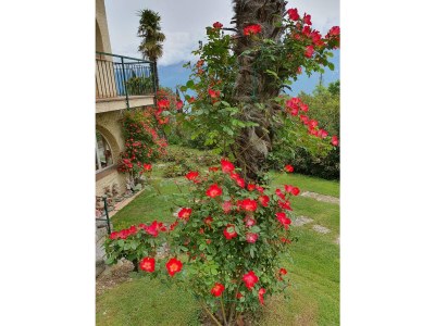 Holiday house Casa Rosina - Outdoor photo 17