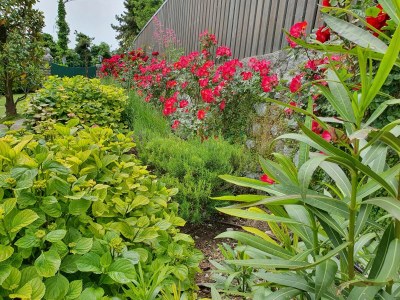 Holiday house Casa Rosina - Outdoor photo 18