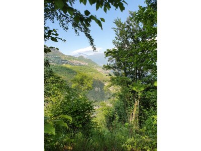 Holiday house Casa Rosina - Outdoor photo 22