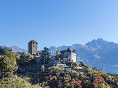 Apartment Experience Suite in der Residence Vinea - Environment photo 22