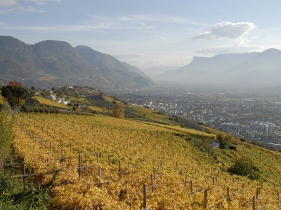 Apartment Experience Suite in der Residence Vinea - Environment photo 25