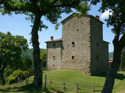Villa Torre di Vignale - Outdoor photo 3