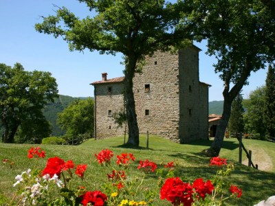 Villa Torre di Vignale - Outdoor photo 8