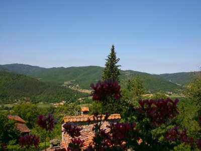 Villa Torre di Vignale - Outdoor photo 9