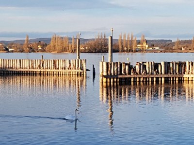 Holiday apartment in Ermatingen - Outdoor photo 7