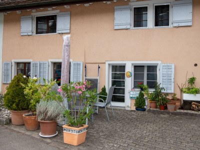 Holiday apartment in Ermatingen - Outdoor photo 22