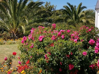 Holiday house VÃ©lina Southern Brittany - Outdoor photo 6