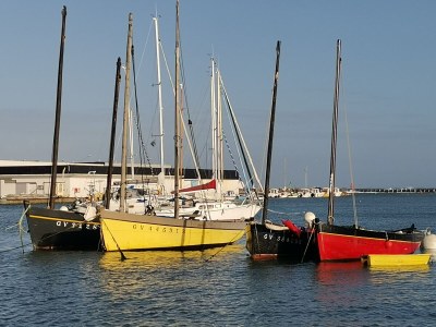 Holiday house VÃ©lina Southern Brittany - Environment photo 20
