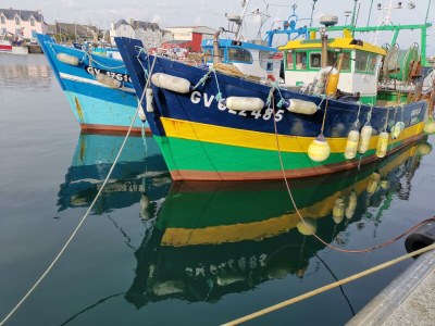 Holiday house VÃ©lina Southern Brittany - Environment photo 23