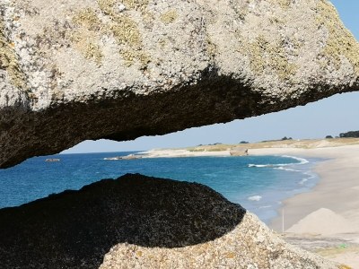 Holiday house VÃ©lina Southern Brittany - Environment photo 24