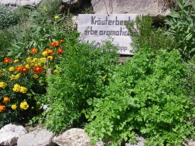 Holiday apartment At the Latschenhof farm 3 flowers - Environment photo 19