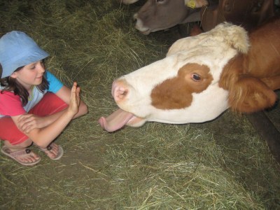 Holiday apartment At the Latschenhof farm 3 flowers - Environment photo 21