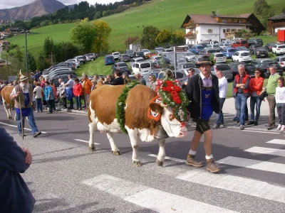 Holiday apartment At the Latschenhof farm 3 flowers - Environment photo 25