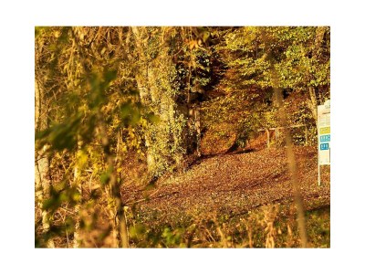 Holiday house Ferienhaus Kleine Auszeit - Environment photo 24