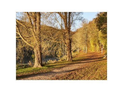 Holiday house Ferienhaus Kleine Auszeit - Environment photo 25