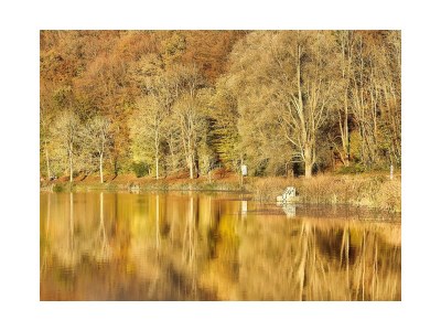 Holiday house Ferienhaus Kleine Auszeit - Environment photo 26