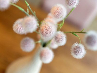 Holiday house Traumhuus - Features photo 6