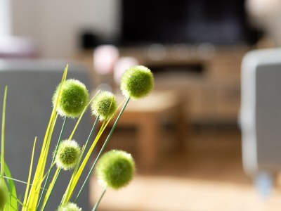 Holiday house Traumhuus - Features photo 10