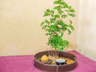 Villa Ca Na Missa 10 - Features photo 68