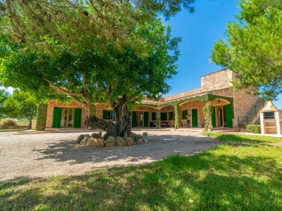 Villa Los Girasoles - Outdoor photo 4