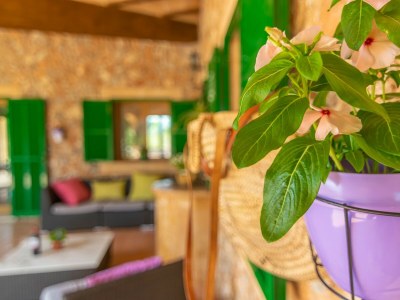 Villa Los Girasoles - Outdoor photo 13