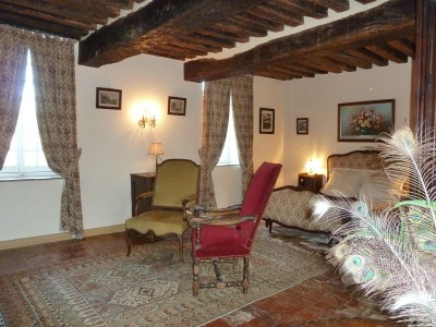 Castle Bed & breakfast in château in Allier - Features photo 12