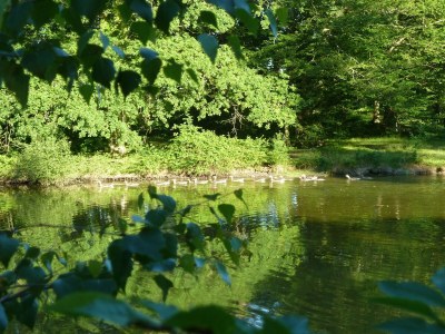 Castle Bed & breakfast in château in Allier - Environment photo 19
