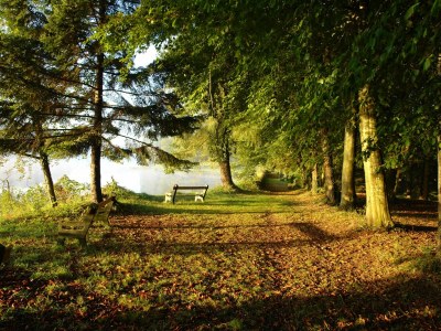 Castle Bed & breakfast in château in Allier - Environment photo 21