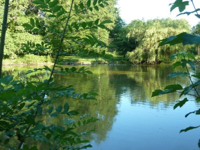 Castle Bed & breakfast in château in Allier - Outdoor photo 23