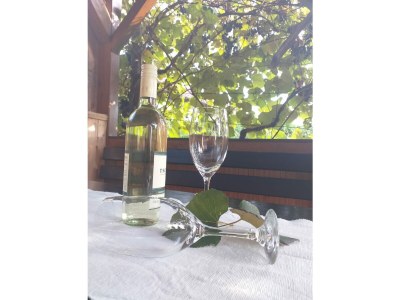 Holiday house Kumpitsch Holiday Home - Outdoor photo 13