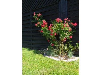 Holiday house Kumpitsch Holiday Home - Outdoor photo 16