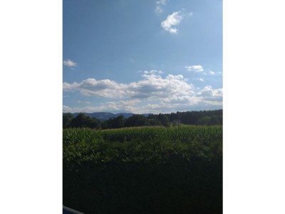 Holiday house Kumpitsch Holiday Home - Environment photo 40