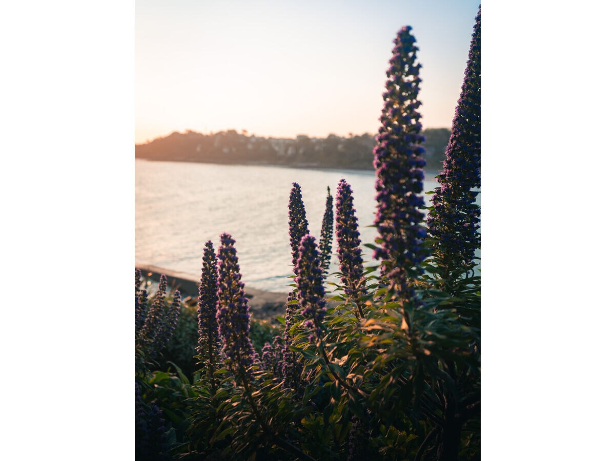 Holiday house L'Îlot de Lancelot - Outdoor photo 4
