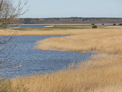Apartment Cozy Escape Near the Baltic - Environment photo 36