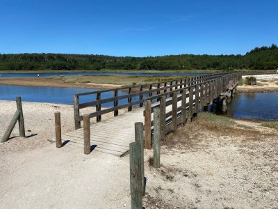 Villa Villa nahe Obidos Lagune und Surfstrände - Environment photo 39