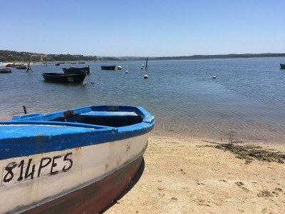 Villa Villa nahe Obidos Lagune und Surfstrände - Environment photo 42