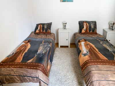 Apartment Ferienwohnung in Bontkirchen - Features photo 8