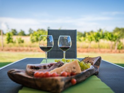 Villa Villa Vitis Vitae - Environment photo 41