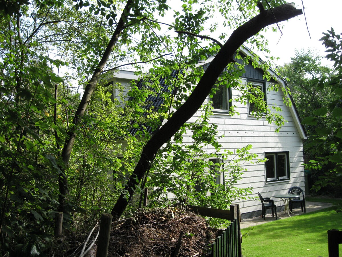 Holiday house Dennenhoek - Outdoor photo 2